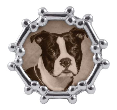 Dog Bone Round Frame