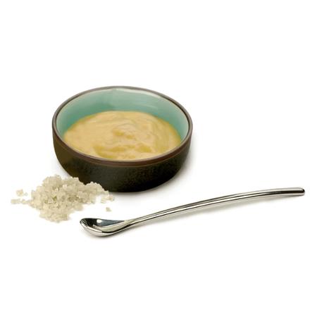 Salt Condiment Spoon